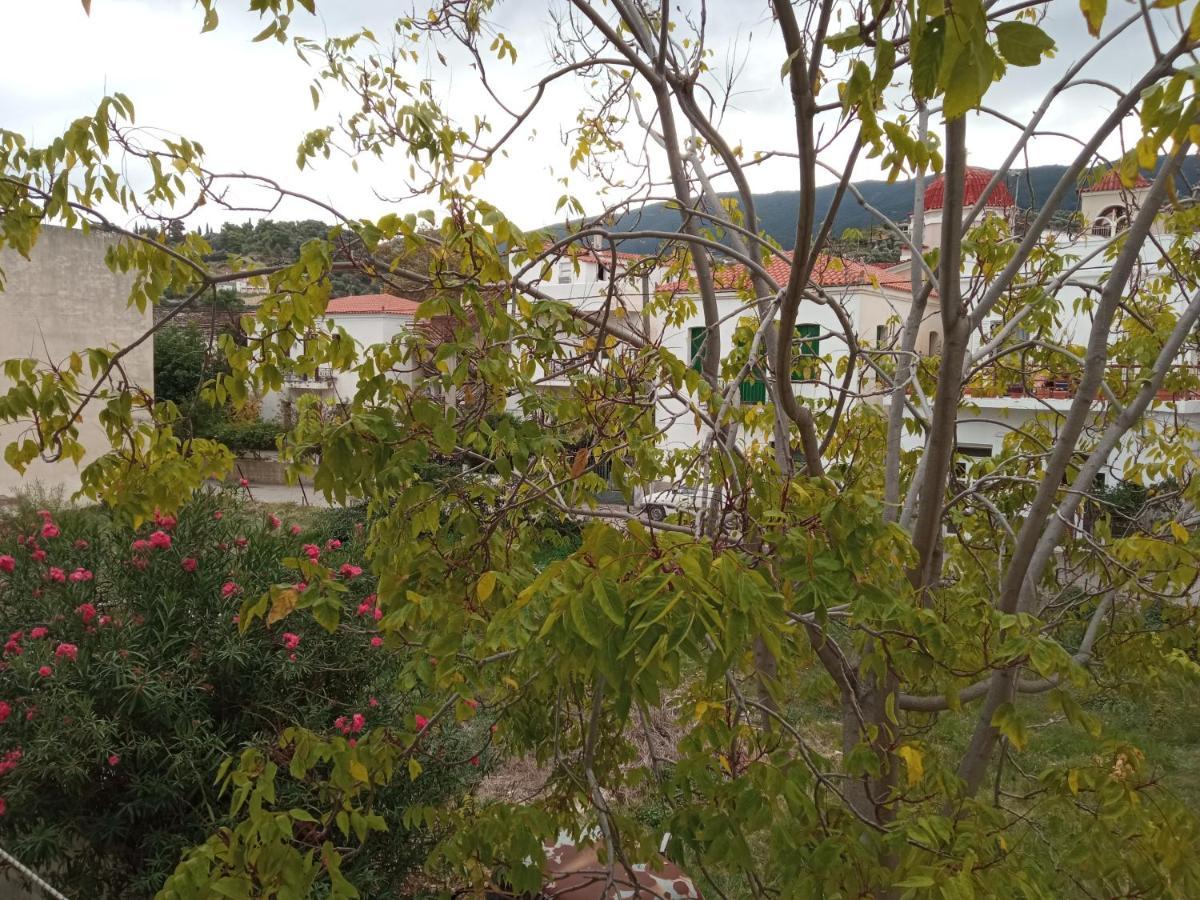 Bissias Guest House กาลาทาส ภายนอก รูปภาพ